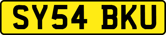 SY54BKU