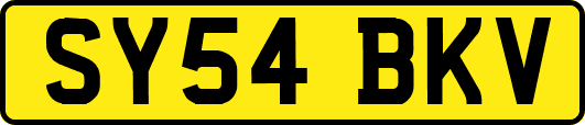 SY54BKV