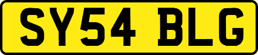 SY54BLG