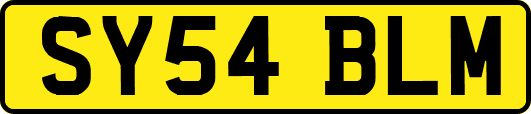 SY54BLM