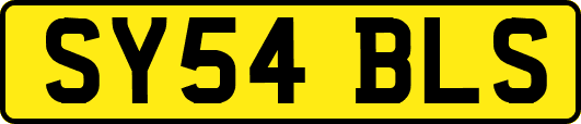 SY54BLS