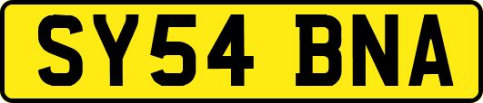 SY54BNA