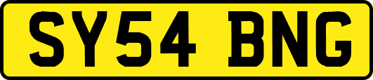 SY54BNG