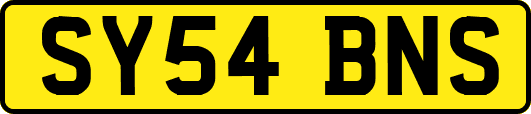 SY54BNS