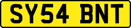 SY54BNT