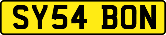 SY54BON