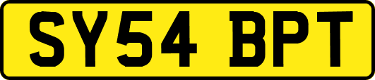 SY54BPT
