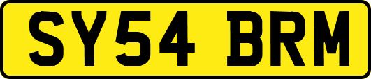 SY54BRM