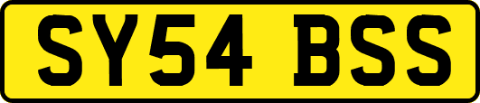 SY54BSS