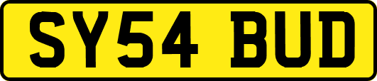 SY54BUD