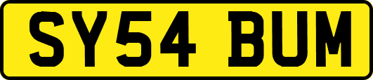 SY54BUM