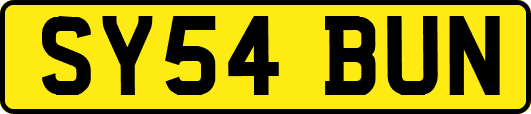 SY54BUN