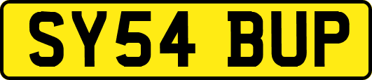 SY54BUP