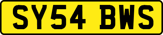 SY54BWS