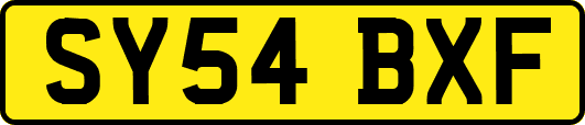 SY54BXF