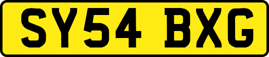 SY54BXG