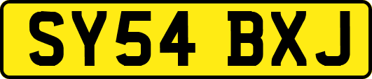 SY54BXJ