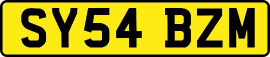 SY54BZM