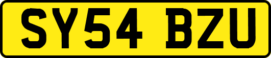 SY54BZU