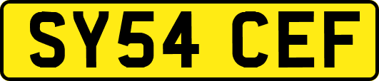 SY54CEF