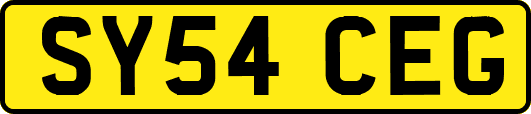 SY54CEG