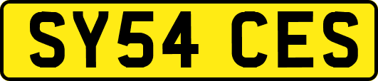 SY54CES