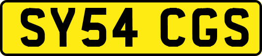 SY54CGS