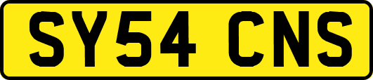 SY54CNS