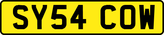 SY54COW