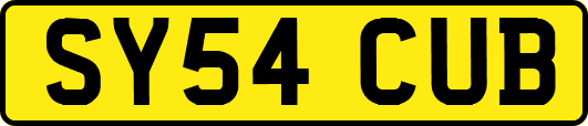 SY54CUB