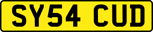 SY54CUD