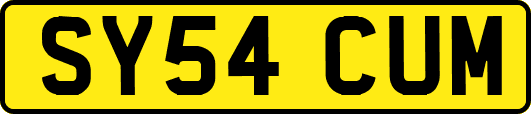 SY54CUM