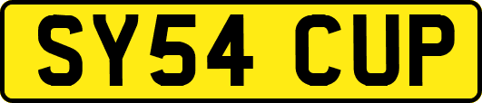 SY54CUP