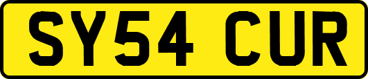 SY54CUR