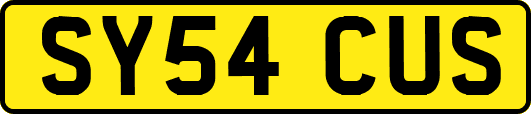 SY54CUS