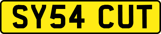SY54CUT
