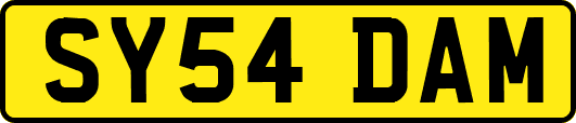 SY54DAM