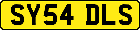 SY54DLS