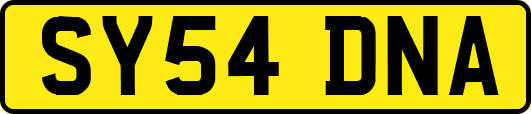SY54DNA