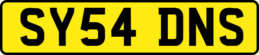 SY54DNS