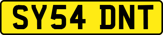 SY54DNT