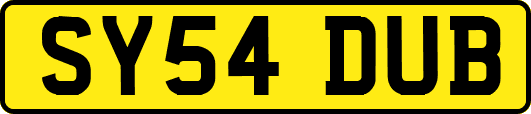SY54DUB