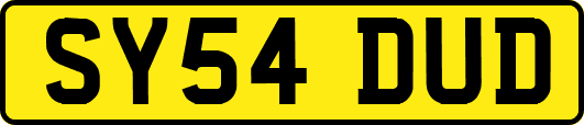 SY54DUD