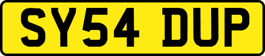 SY54DUP
