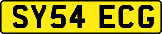 SY54ECG