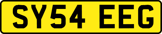 SY54EEG