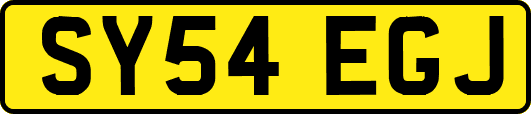 SY54EGJ
