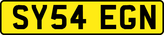 SY54EGN