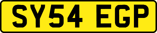 SY54EGP