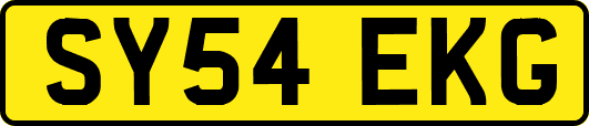 SY54EKG
